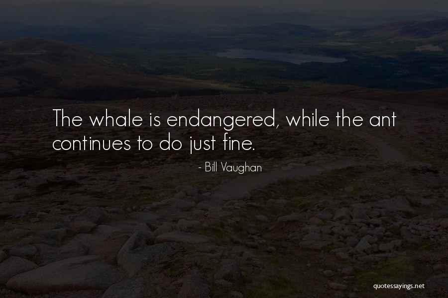 Endangered Whale Quotes By Bill Vaughan Endangered Whale Quotes By Bill Vaughan