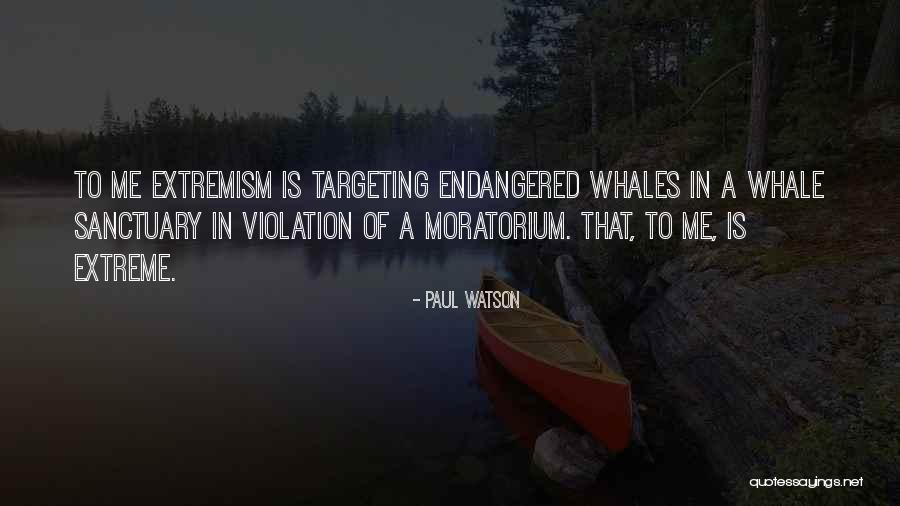 Endangered Whales Quotes By Paul Watson