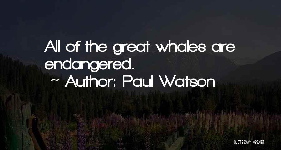 Endangered Whales Quotes By Paul Watson