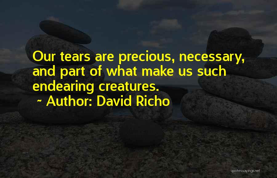 Endearing Quotes By David Richo