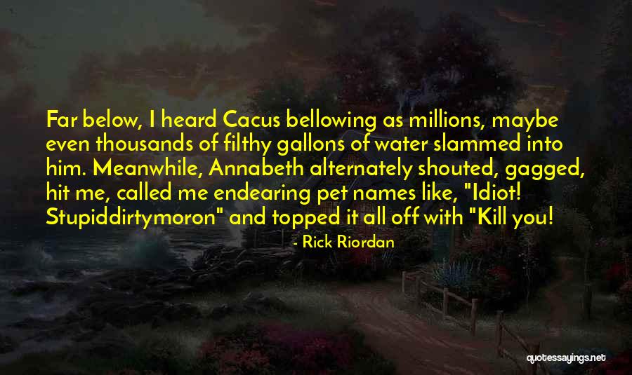 Endearing Quotes By Rick Riordan