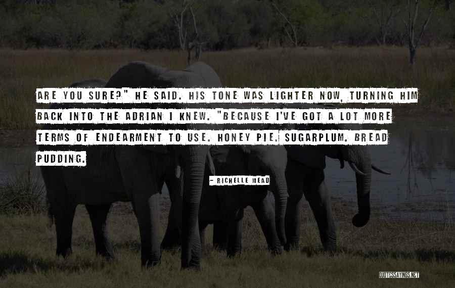Endearment Terms Quotes By Richelle Mead Endearment Terms Quotes By Richelle Mead