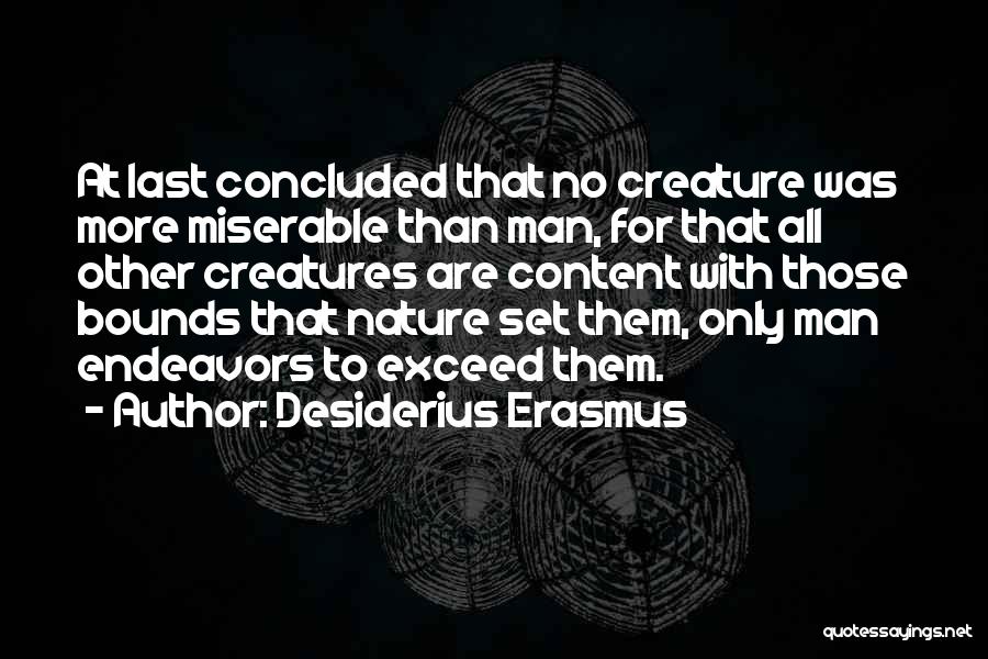 Endeavors Quotes By Desiderius Erasmus