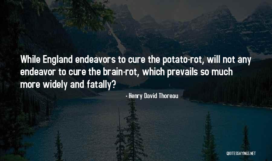 Endeavors Quotes By Henry David Thoreau