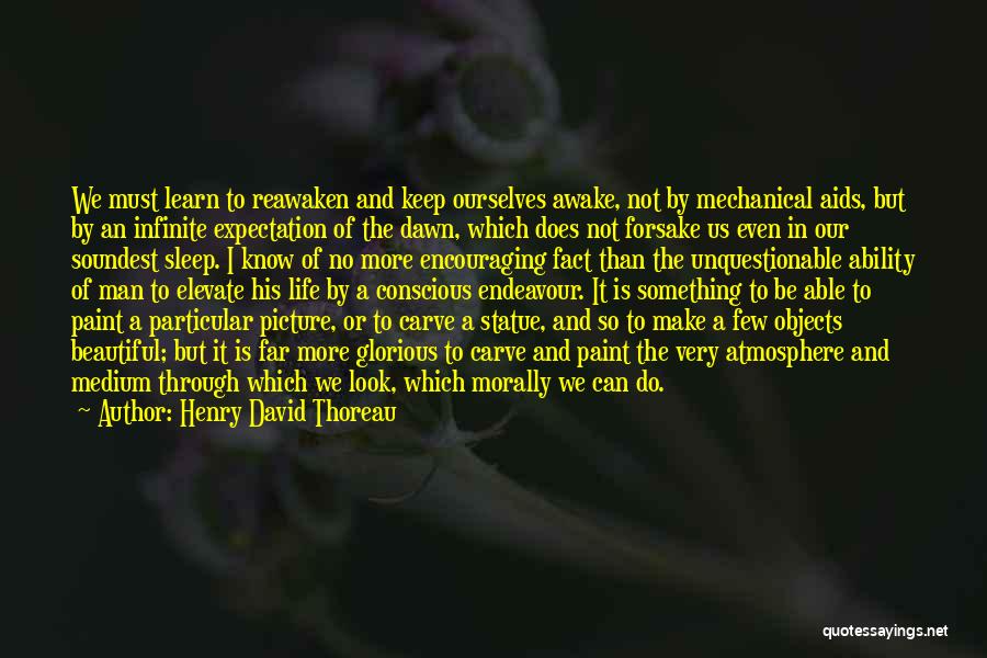 Endeavour Quotes By Henry David Thoreau