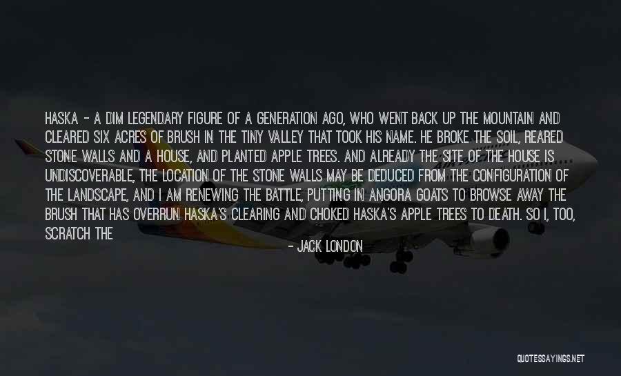 Endeavour Quotes By Jack London