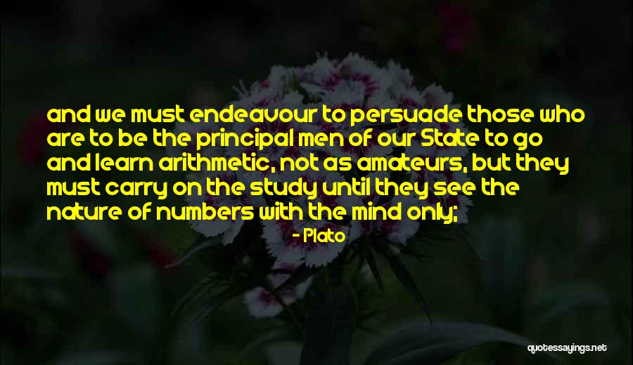 Endeavour Quotes By Plato