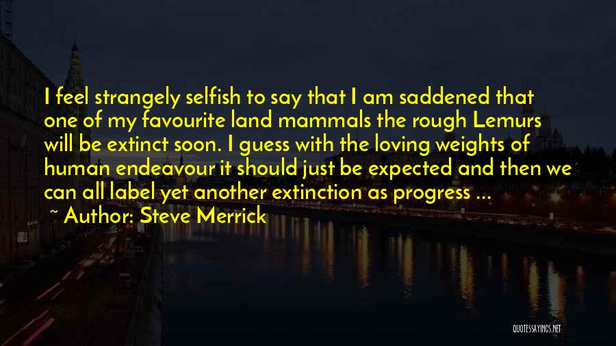 Endeavour Quotes By Steve Merrick