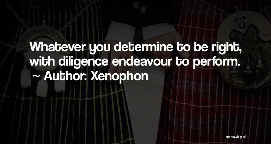 Endeavour Quotes By Xenophon
