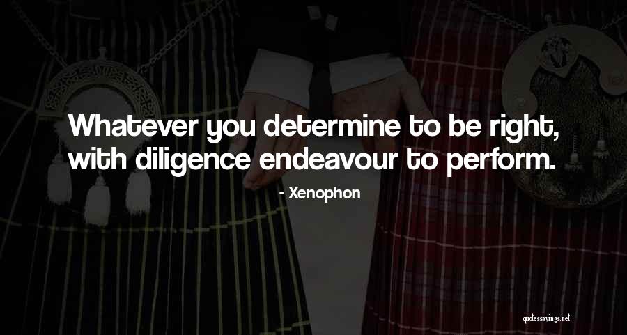 Endeavour Quotes By Xenophon