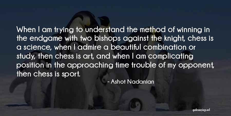 Endgame Quotes By Ashot Nadanian Endgame Quotes By Ashot Nadanian