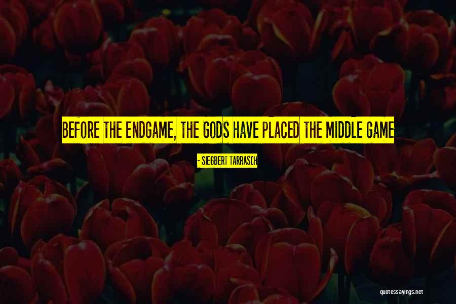 Endgame Quotes By Siegbert Tarrasch Endgame Quotes By Siegbert Tarrasch