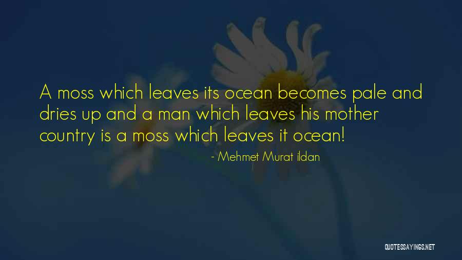 Endine Vt Quotes By Mehmet Murat Ildan Endine Vt Quotes By Mehmet Murat Ildan