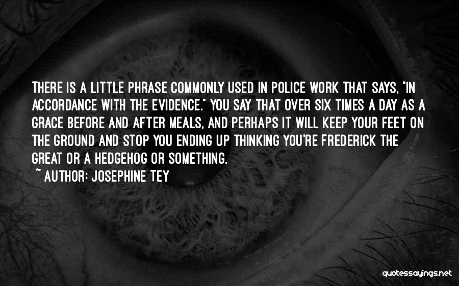 Ending A Day Quotes By Josephine Tey