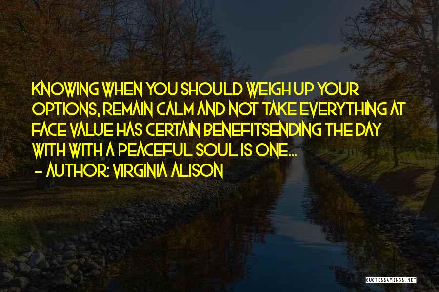 Ending A Day Quotes By Virginia Alison