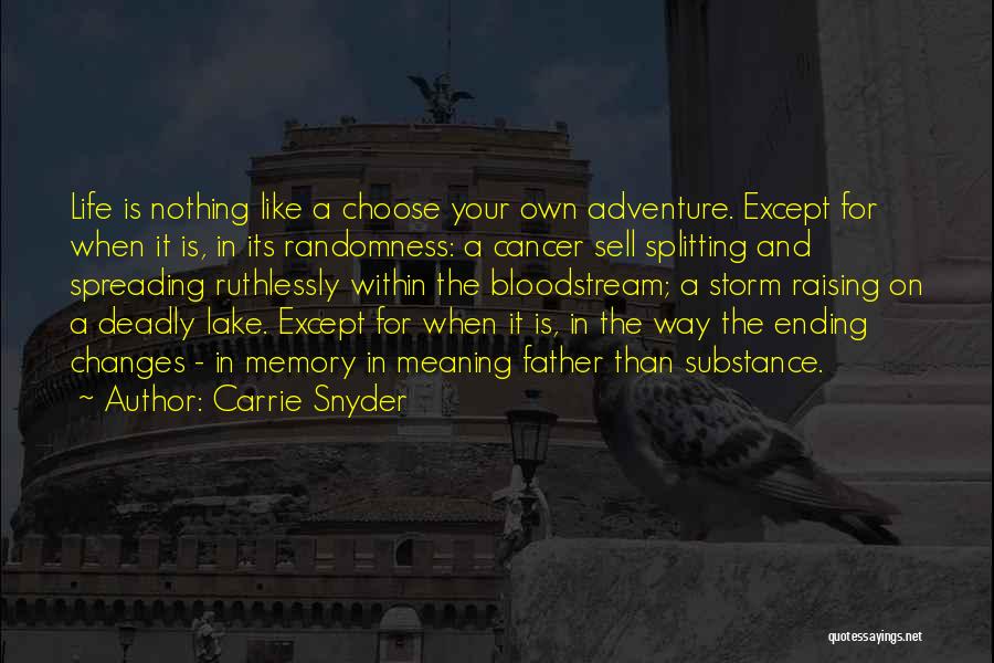 Ending Your Own Life Quotes By Carrie Snyder