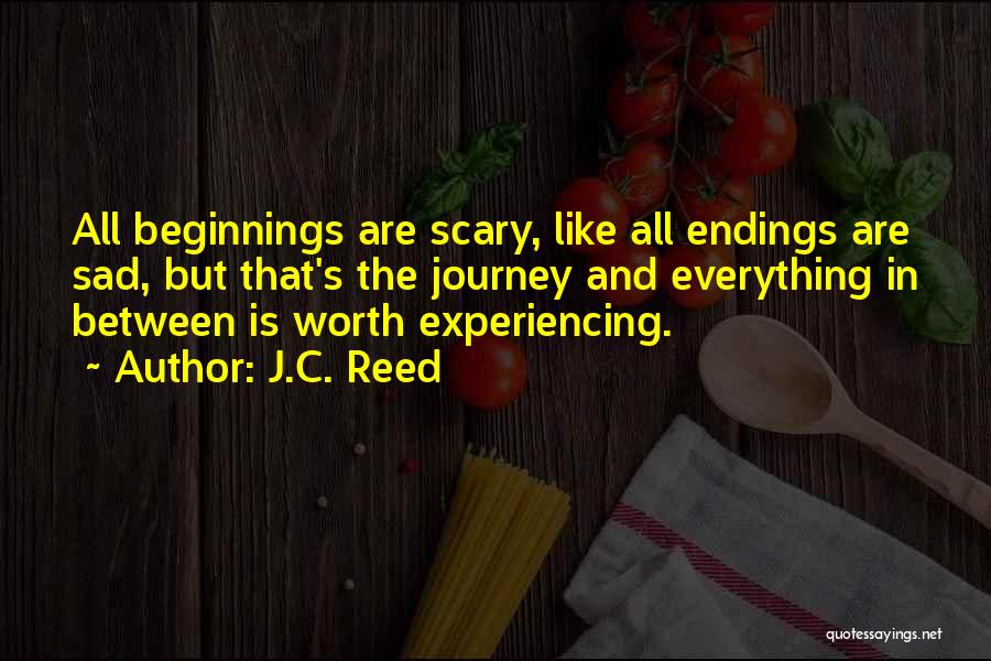 Endings And Beginnings Quotes By J.C. Reed