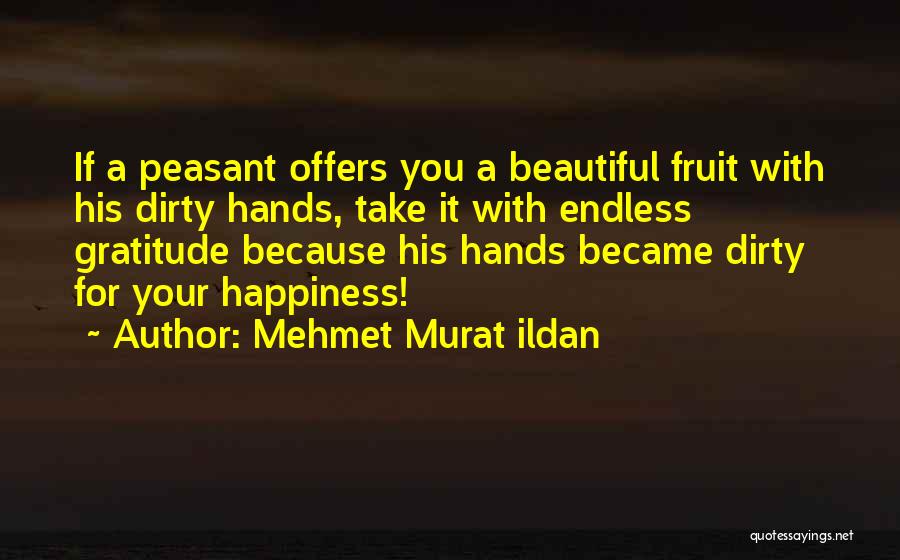 Endless Happiness Quotes By Mehmet Murat Ildan