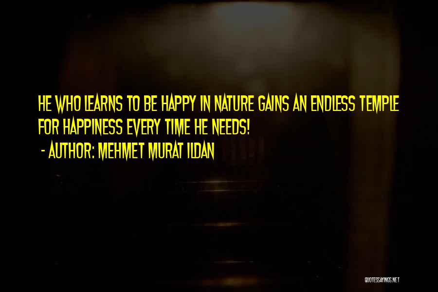 Endless Happiness Quotes By Mehmet Murat Ildan