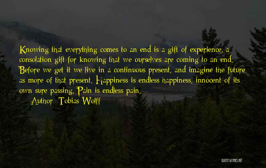 Endless Happiness Quotes By Tobias Wolff