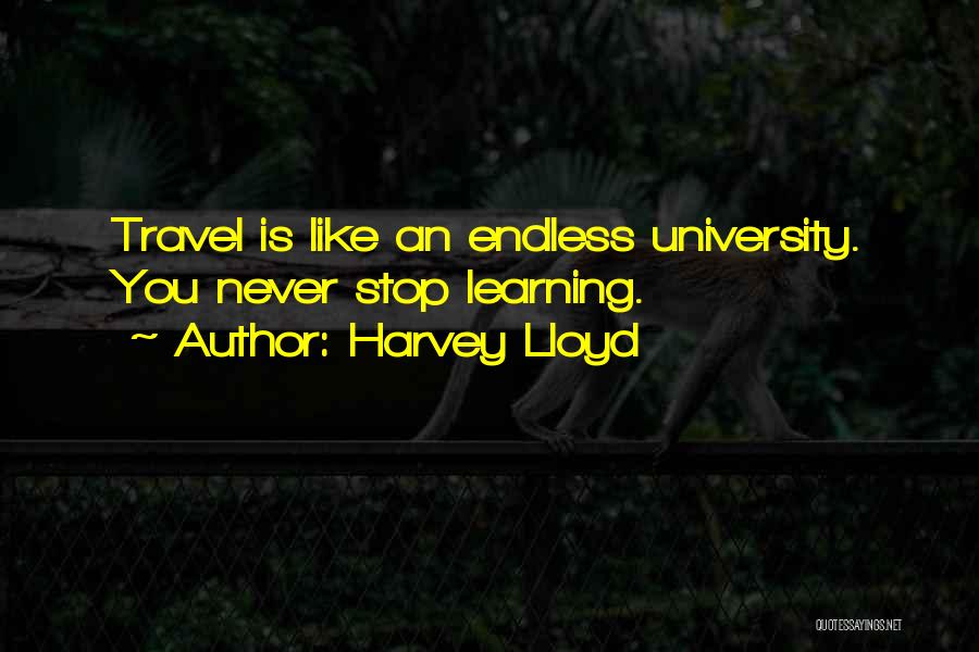 Endless Learning Quotes By Harvey Lloyd