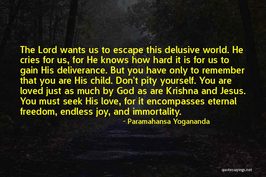 Endless Love Love Quotes By Paramahansa Yogananda Endless Love Love Quotes By Paramahansa Yogananda