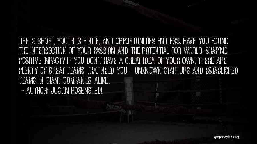 Endless Opportunities Quotes By Justin Rosenstein