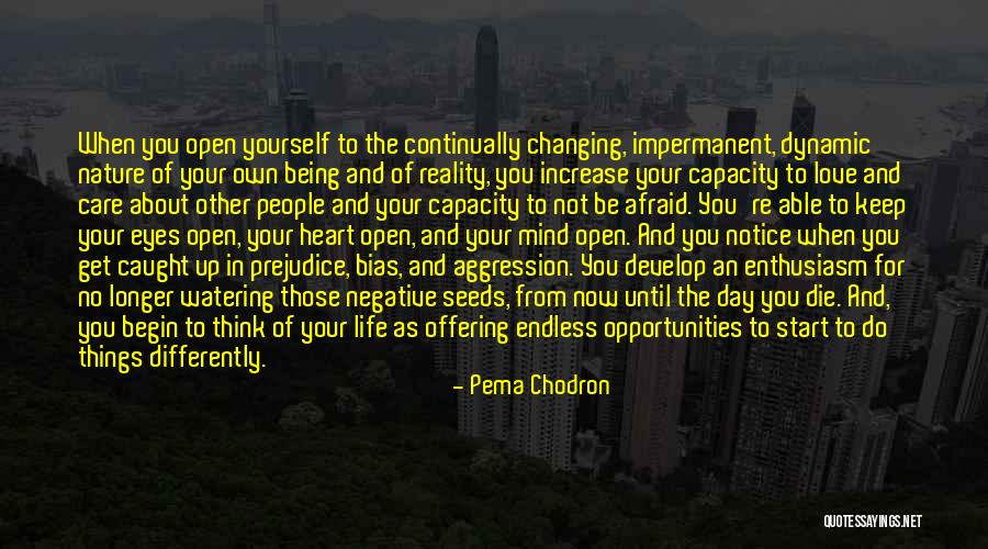 Endless Opportunities Quotes By Pema Chodron