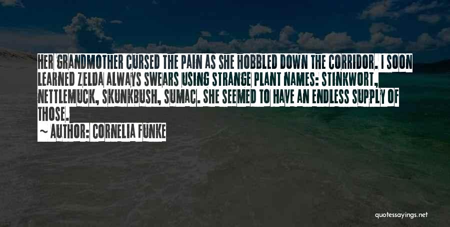 Endless Pain Quotes By Cornelia Funke