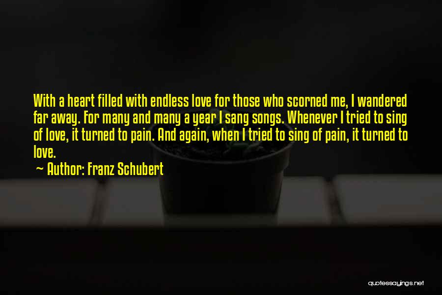 Endless Pain Quotes By Franz Schubert