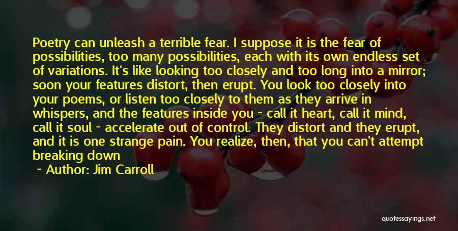 Endless Pain Quotes By Jim Carroll