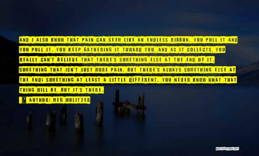 Endless Pain Quotes By Meg Wolitzer