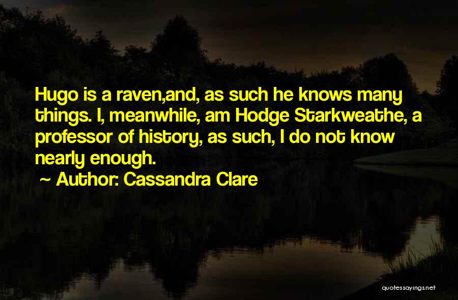 Endogenous Insulin Quotes By Cassandra Clare
