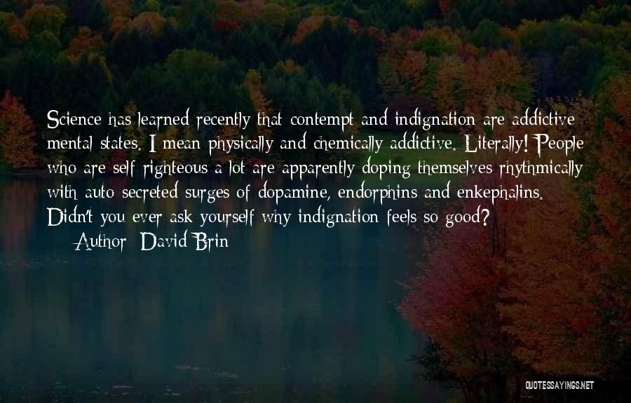 Endorphins Quotes By David Brin