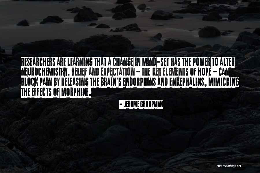 Endorphins Quotes By Jerome Groopman