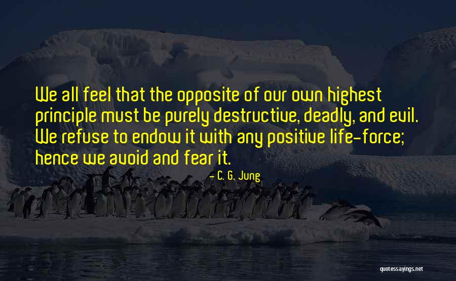 Endow Quotes By C. G. Jung Endow Quotes By C. G. Jung