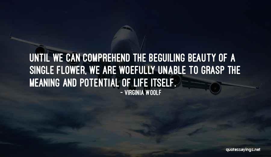 Endulzantes Quotes By Virginia Woolf Endulzantes Quotes By Virginia Woolf