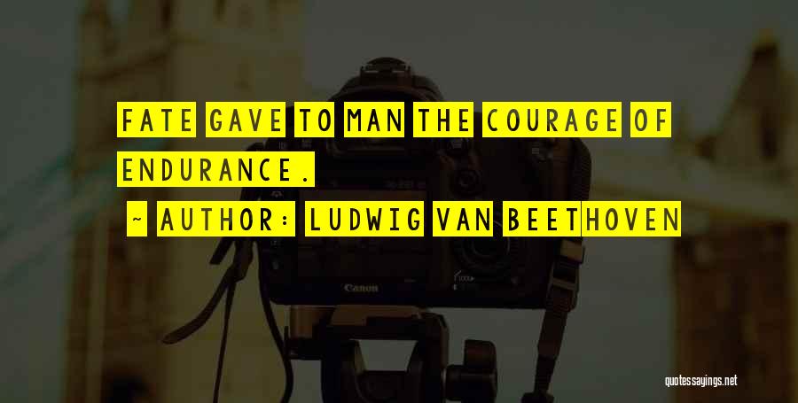 Endurance And Perseverance Quotes By Ludwig Van Beethoven