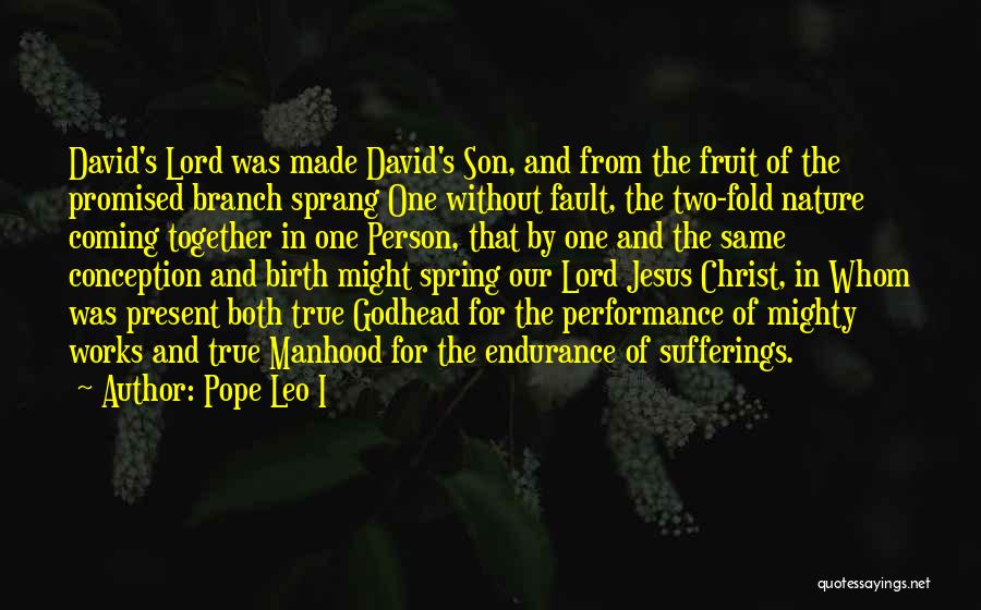 Endurance Christian Quotes By Pope Leo I