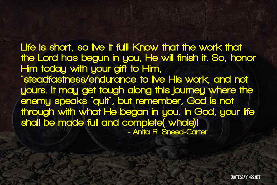Endurance In Life Quotes By Anita R. Sneed-Carter Endurance In Life Quotes By Anita R. Sneed-Carter