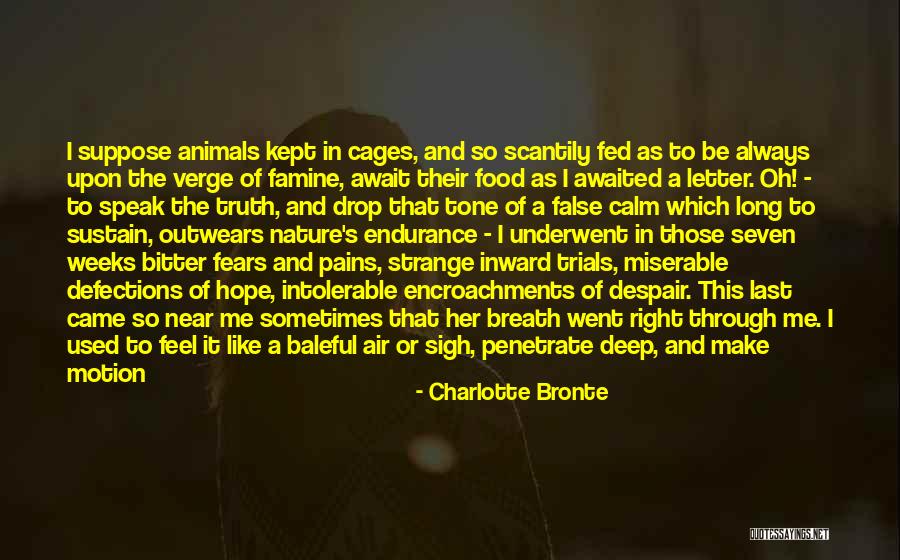 Endurance In Life Quotes By Charlotte Bronte Endurance In Life Quotes By Charlotte Bronte