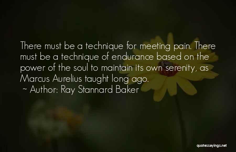 Endurance Pain Quotes By Ray Stannard Baker