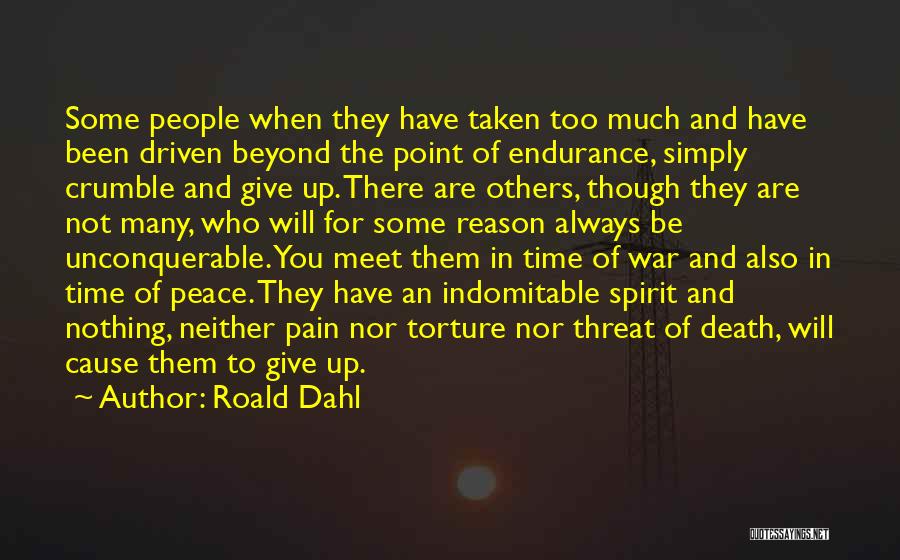 Endurance Pain Quotes By Roald Dahl