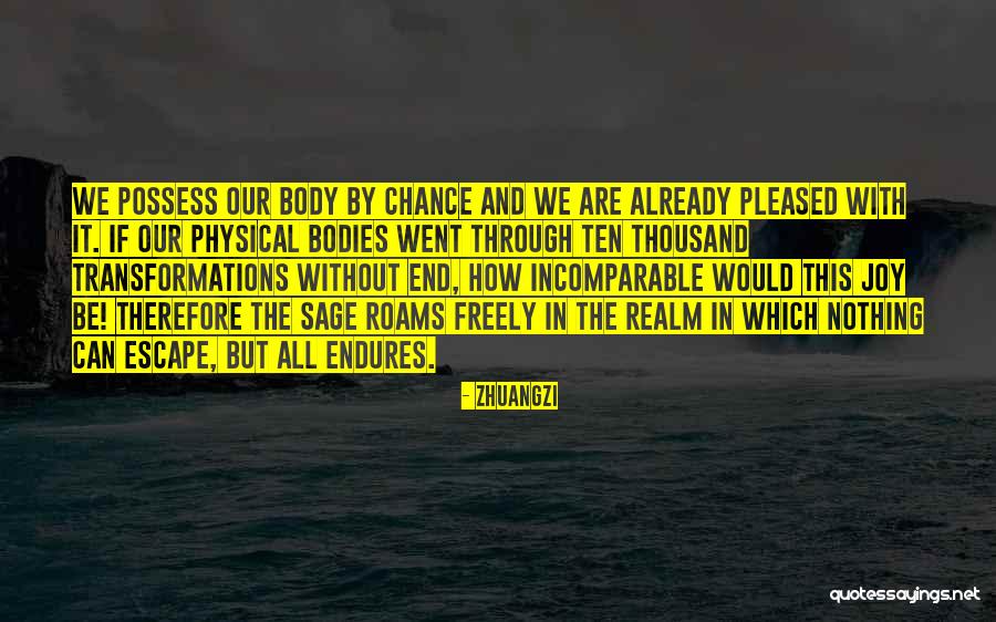 Endures To The End Quotes By Zhuangzi Endures To The End Quotes By Zhuangzi