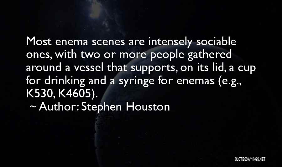 Enema Quotes By Stephen Houston