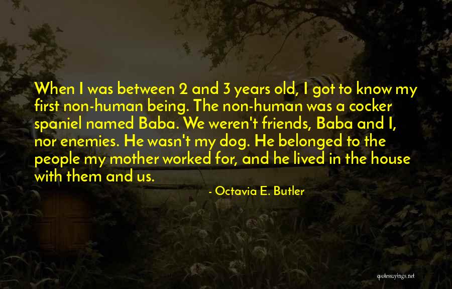 Enemies And Friends Quotes By Octavia E. Butler