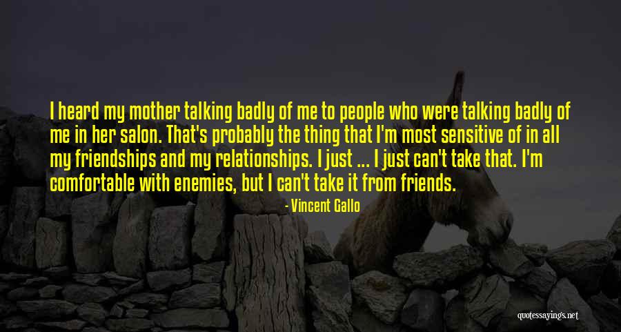 Enemies And Friends Quotes By Vincent Gallo