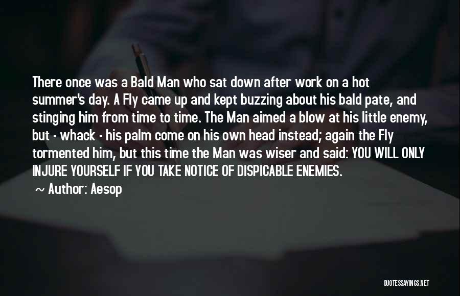 Enemies At Work Quotes By Aesop