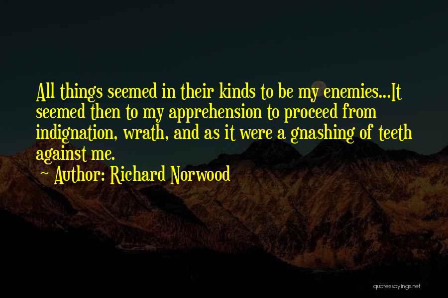 Enemies English Quotes By Richard Norwood