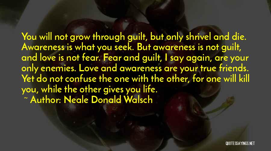 Enemies Friends Quotes By Neale Donald Walsch